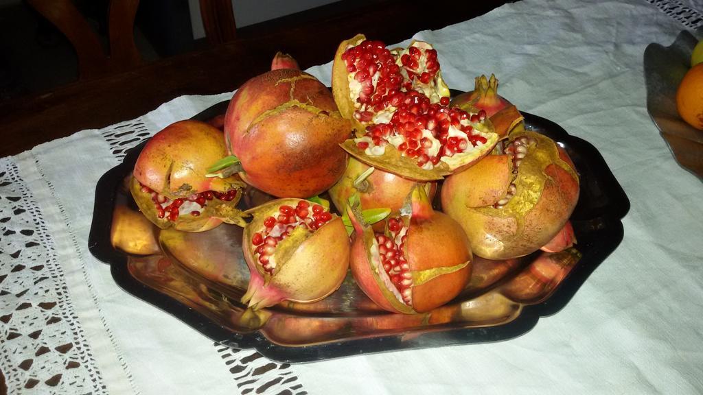 Frühstückspension La Crota Asti