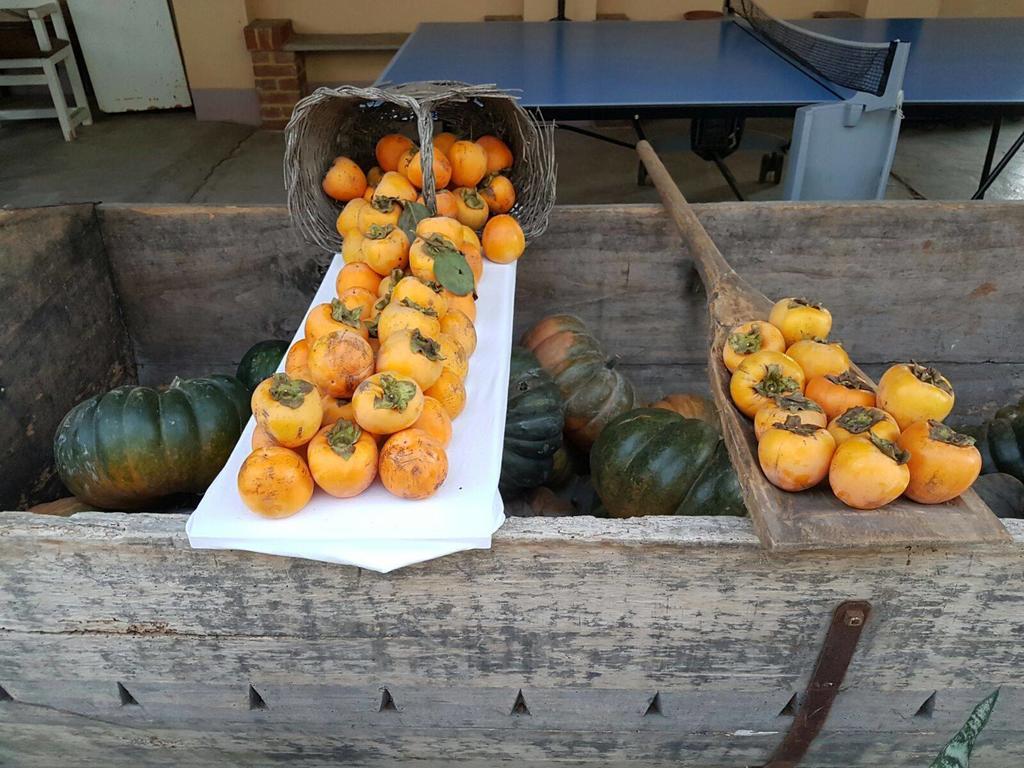 Frühstückspension La Crota Asti